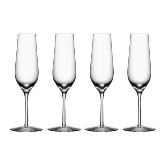 Orrefors Morberg Collection Champagneglas 4 st